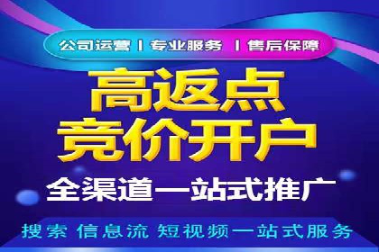 百度竞价运营案例分析：实战经验总结